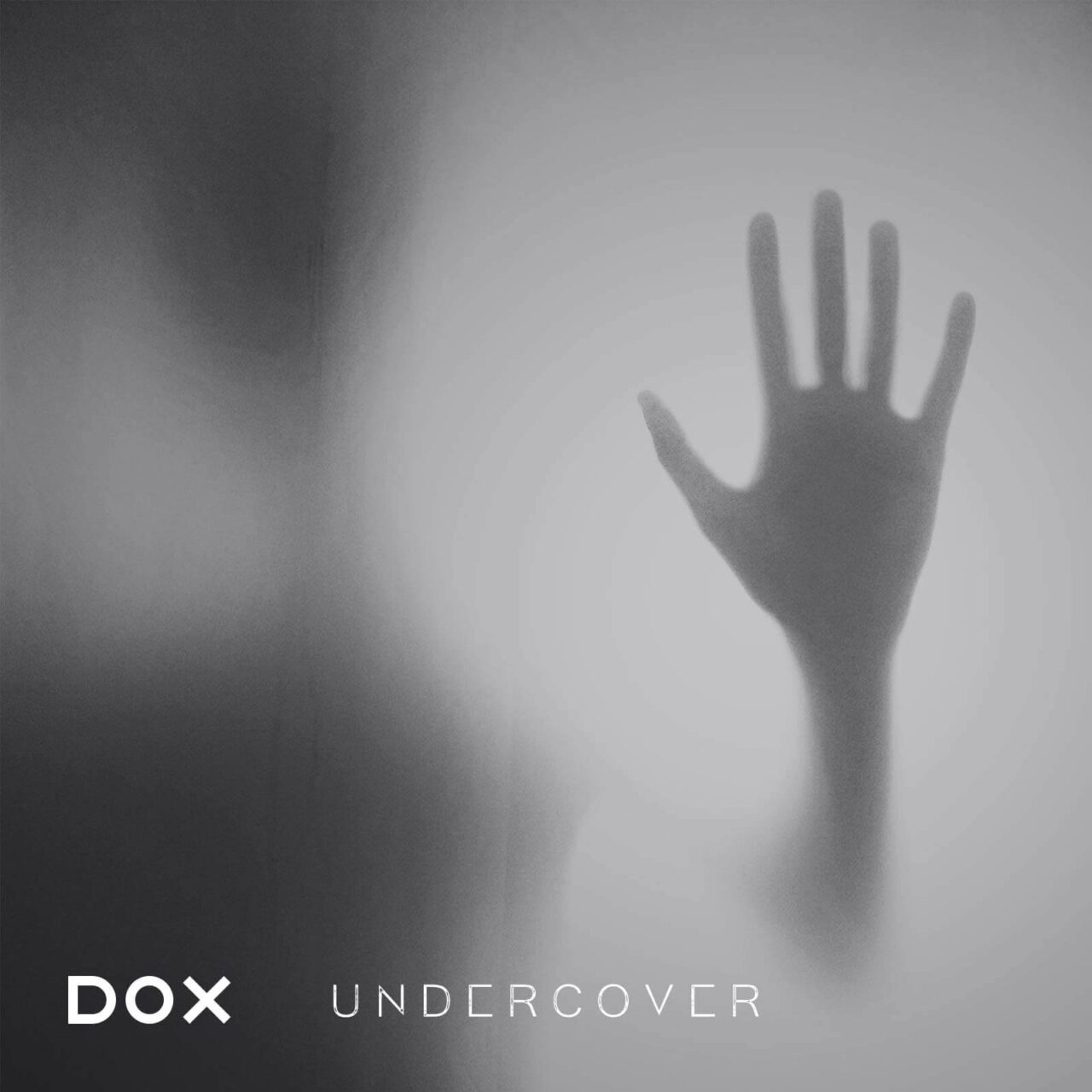 Album - Undercover